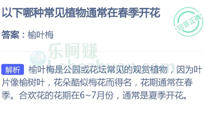 以下哪种常见植物通常在春季开花?