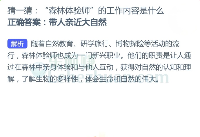 “森林体验师”的工作内容是什么?