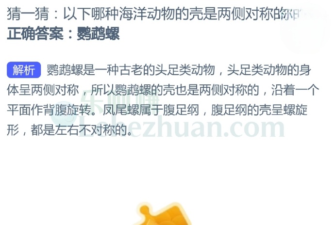 以下哪种海洋动物的壳是两侧对称的?