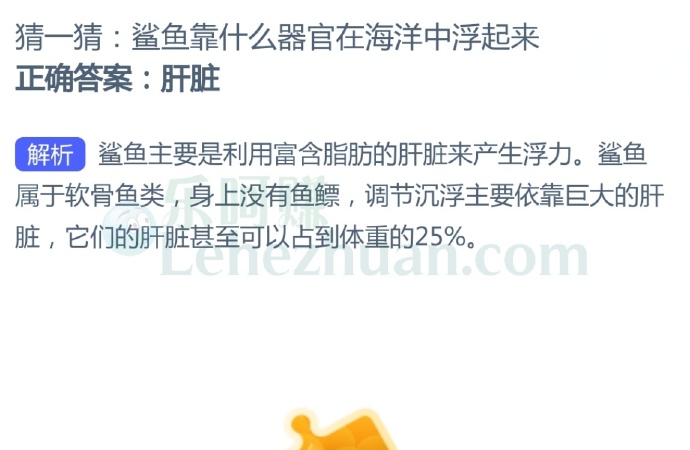 鲨鱼靠什么器官在海洋中浮起来?