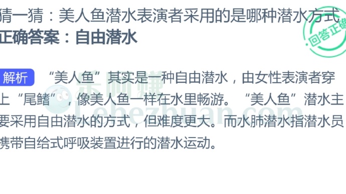 美人鱼潜水表演者采用的是哪种潜水方式?