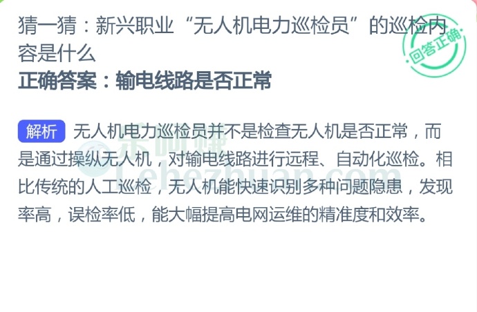 新兴职业“无人机电力巡检员”的巡检内容是什么?