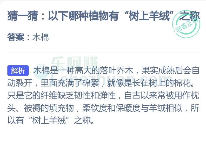 以下哪种植物有“树上羊绒”之称?