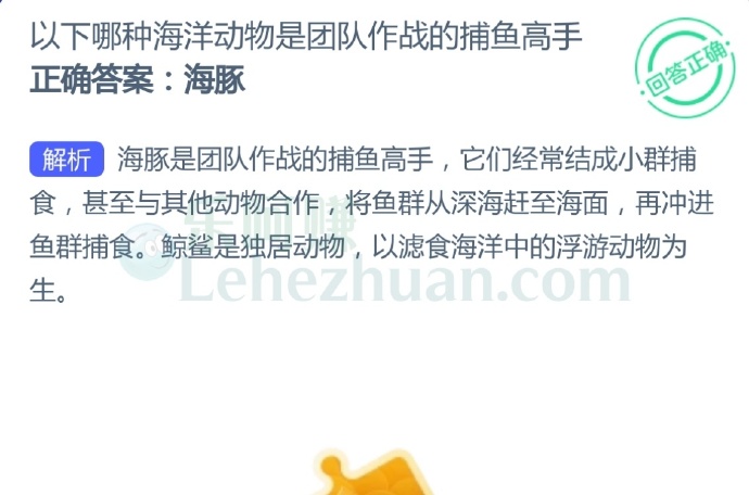 以下哪种海洋动物是团队作战的捕鱼高手?