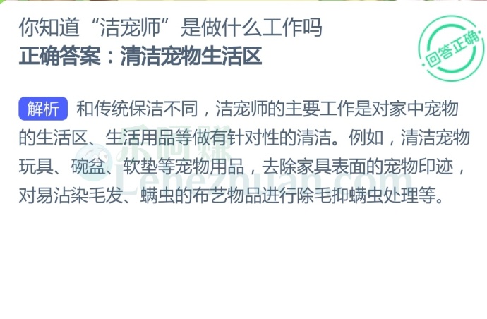 你知道“洁宠师”是做什么工作吗?