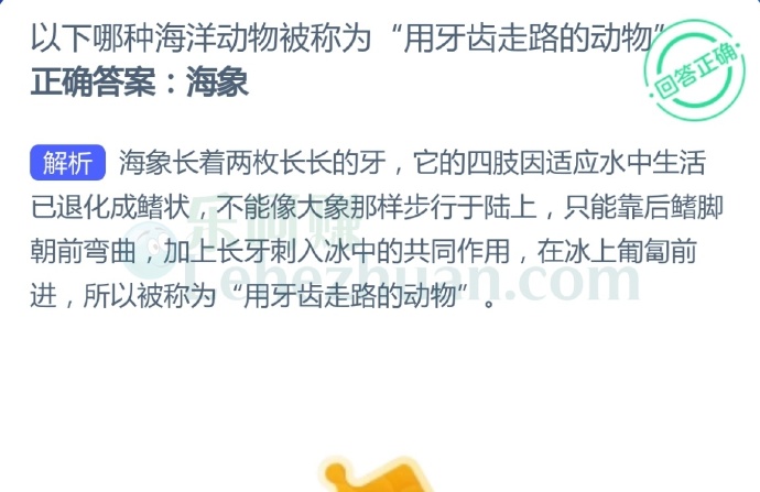 以下哪种海洋动物被称为用牙齿走路的动物?