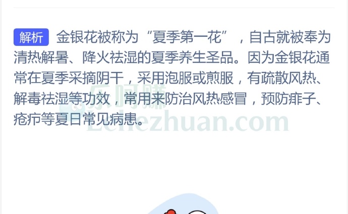 以下哪种花有“夏季第一花”之称?