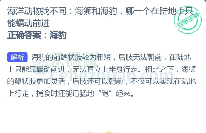 海狮和海豹,哪一个在陆地上只能蠕动前进?