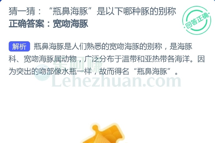 “瓶鼻海豚”是以下哪种豚的别称?