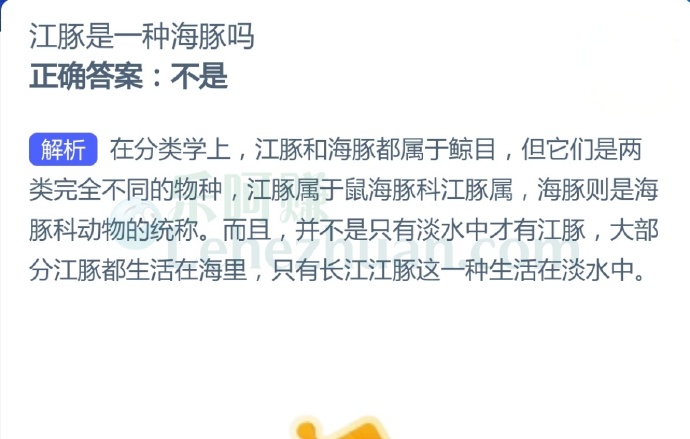 江豚是一种海豚吗?