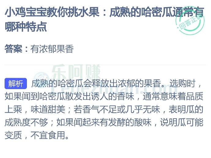 成熟的哈密瓜通常有哪种特点?