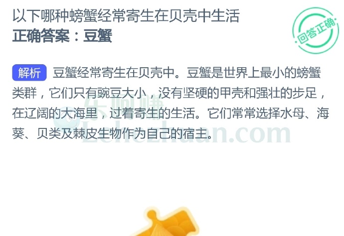 以下哪种螃蟹经常寄生在贝壳中生活?