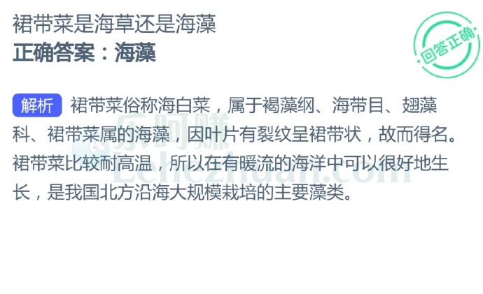 裙带菜是海草还是海藻?