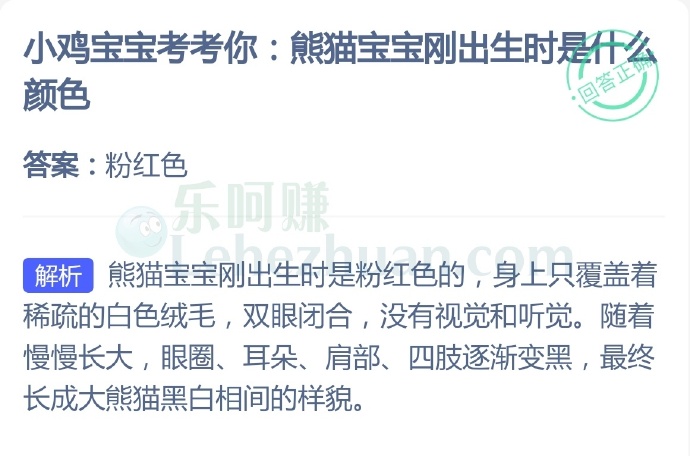 熊猫宝宝刚出生时是什么颜色?