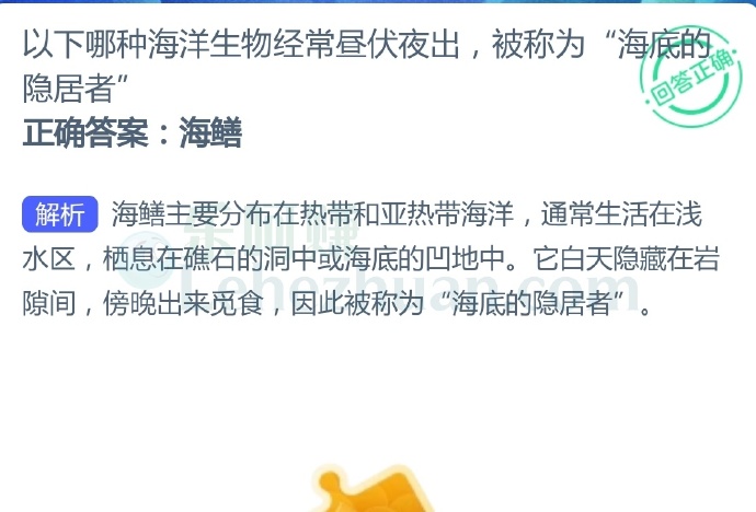以下哪种海洋生物经常昼伏夜出,被称为“海底的隐居者”?