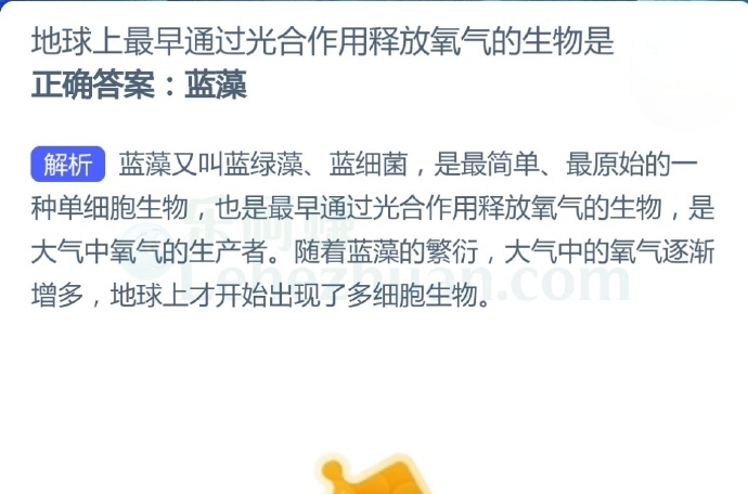 地球上最早通过光合作用释放氧气的生物是?