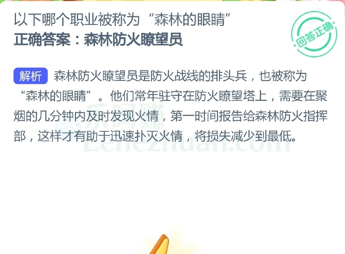 以下哪个职业被称为“森林的眼睛”?