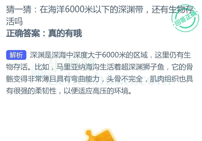 在海洋6000米以下的深渊带,还有生物存活吗?