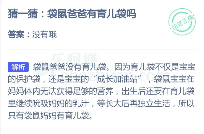 袋鼠爸爸有育儿袋吗?