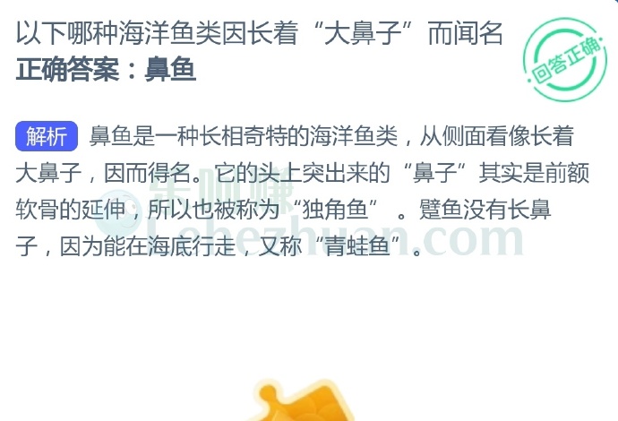 以下哪种海洋鱼类因长着“大鼻子”而闻名?