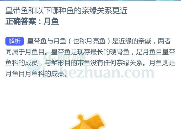 皇带鱼和以下哪种鱼的亲缘关系更近?