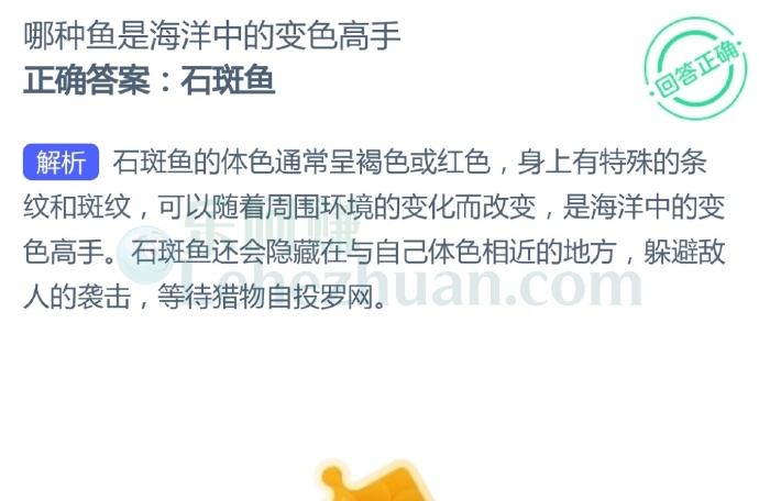 哪种鱼是海洋中的变色高手?