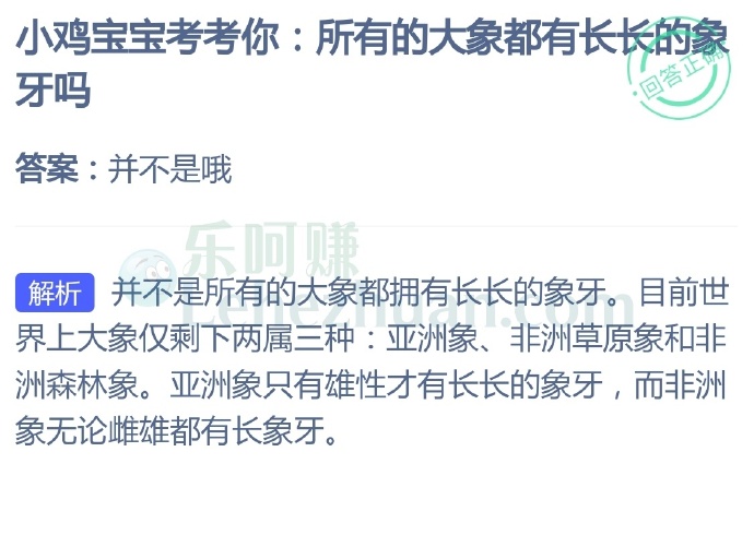 所有的大象都有长长的象牙吗?