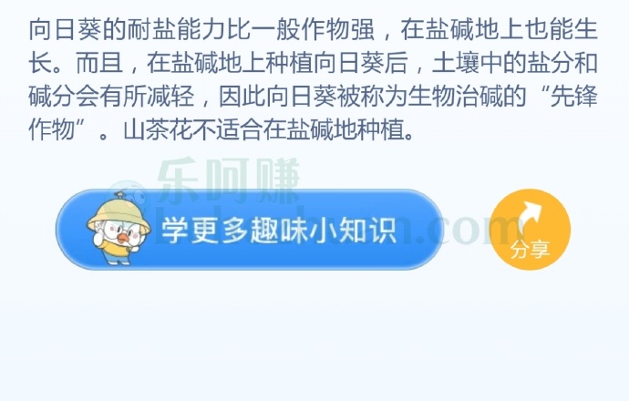 哪种植物能在盐碱地上存活?