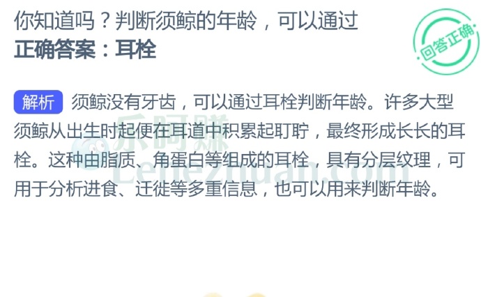 判断须鲸的年龄,可以通过?