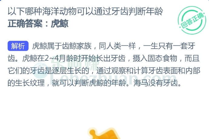 以下哪种海洋动物可以通过牙齿判断年龄?