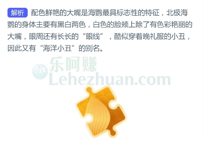 以下哪种海鸟长着标志性的大嘴,有“海洋小丑”的别名?