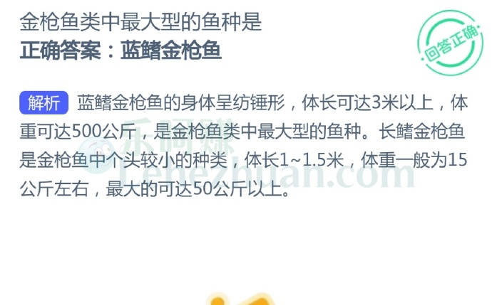 金枪鱼类中最大型的鱼种是?