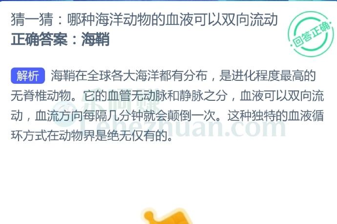 哪种海洋动物的血液可以双向流动?
