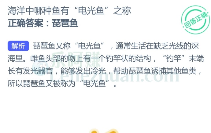 海洋中哪种鱼有“电光鱼”之称?