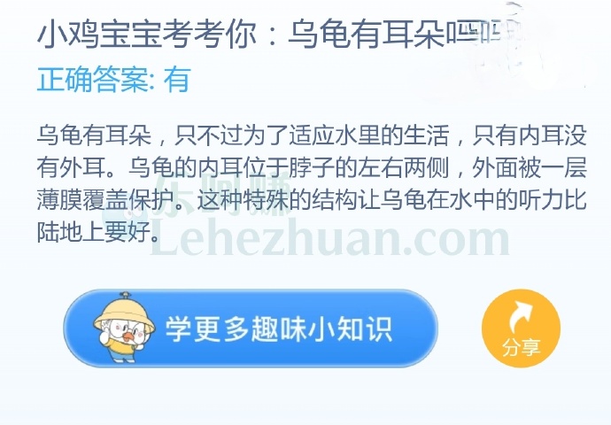 乌龟有耳朵吗?