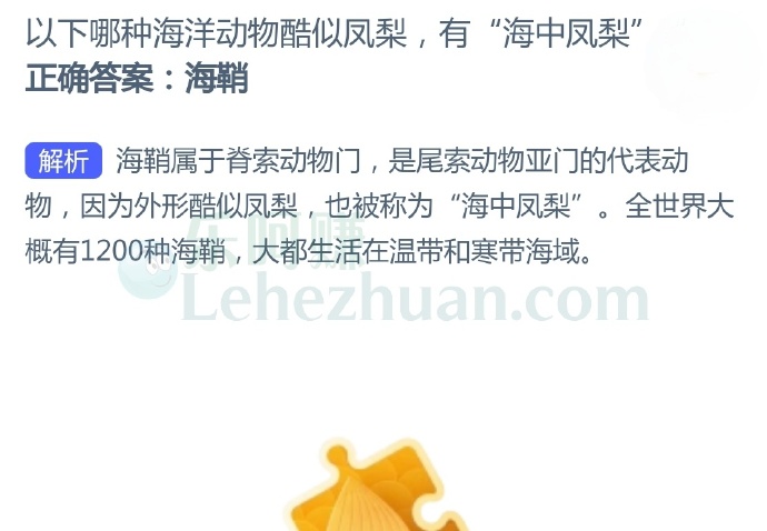 以下哪种海洋动物酷似凤梨,有“海中凤梨”?