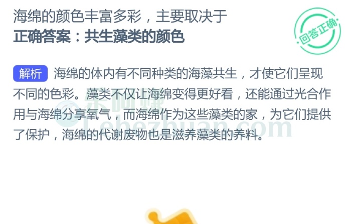 海绵的颜色丰富多彩,主要取决于?