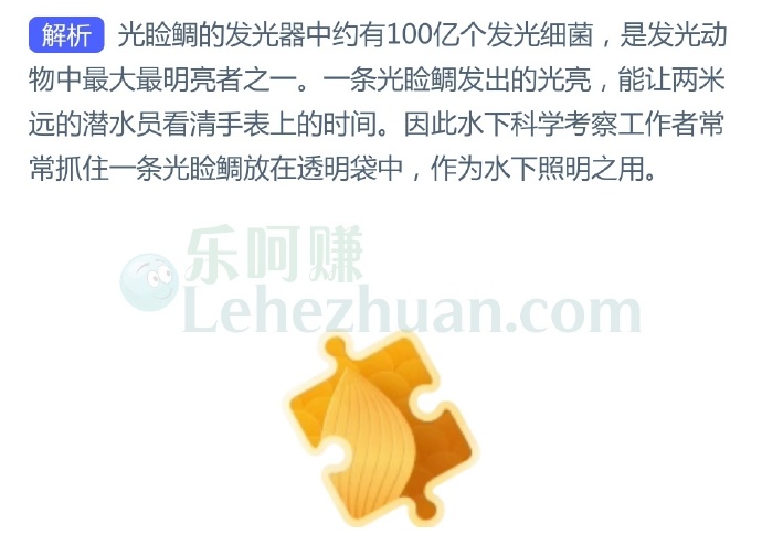 海洋中哪种鱼能发出强光,还能作为水下照明使用?