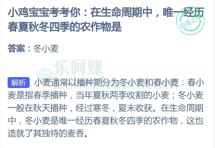 在生命周期中,唯一经历春夏秋冬四季的农作物是?