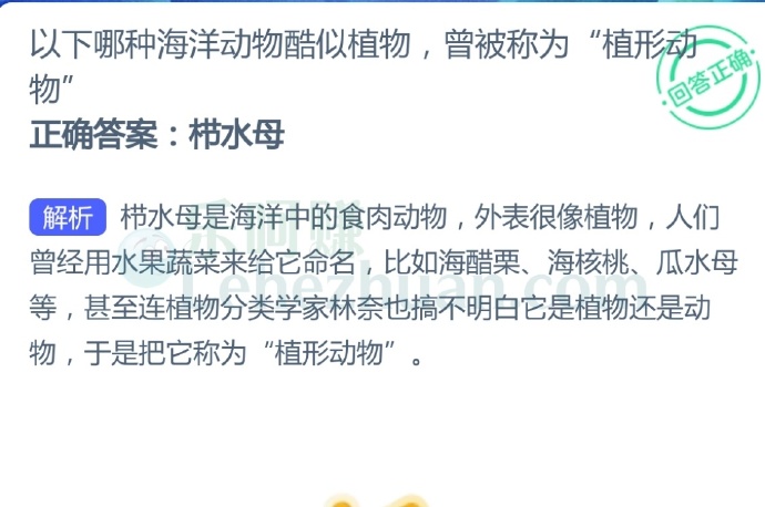 以下哪种海洋动物酷似植物,曾被称为“植形动物”?