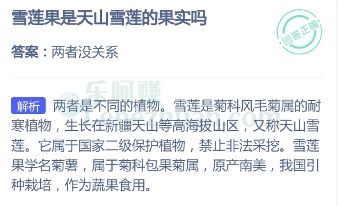 雪莲果是天山雪莲的果实吗?