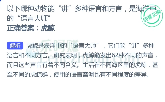 以下哪种动物能“讲”多种语言和方言,是海洋中的“语言大师”?