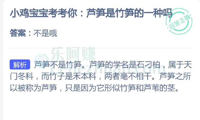 芦笋是竹笋的一种吗?