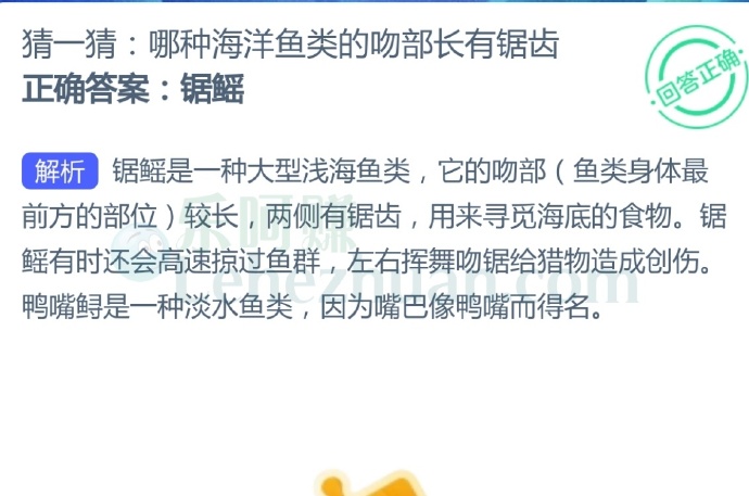 哪种海洋鱼类的吻部长有锯齿?