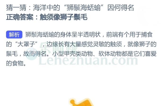 海洋中的“狮鬃海蛞蝓”因何得名?