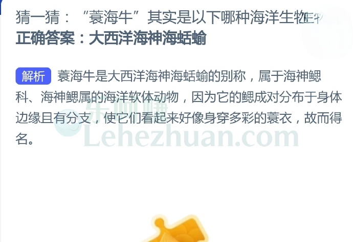 “蓑海牛”其实是以下哪种海洋生物?