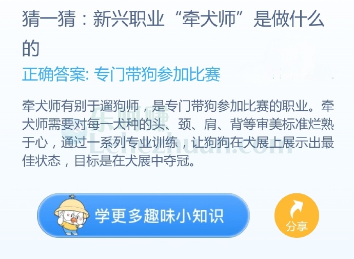 新兴职业“牵犬师”是做什么的?