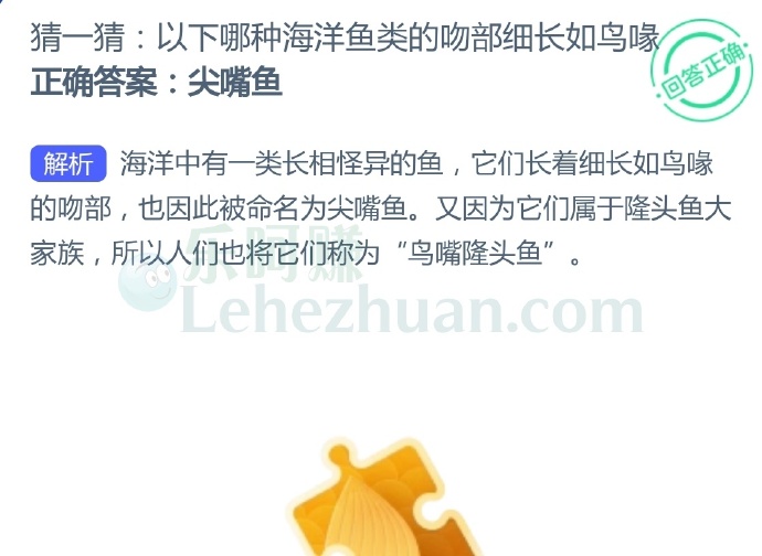 以下哪种海洋鱼类的吻部细长如鸟喙?