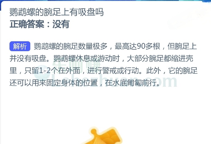 鹦鹉螺的腕足上有吸盘吗?
