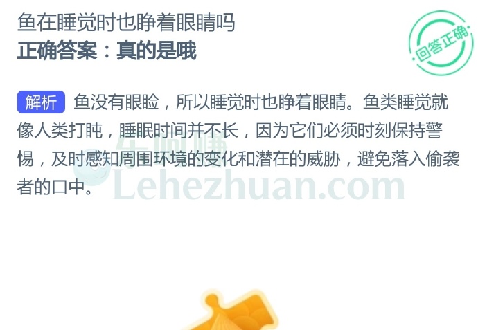 鱼在睡觉时也睁着眼睛吗?